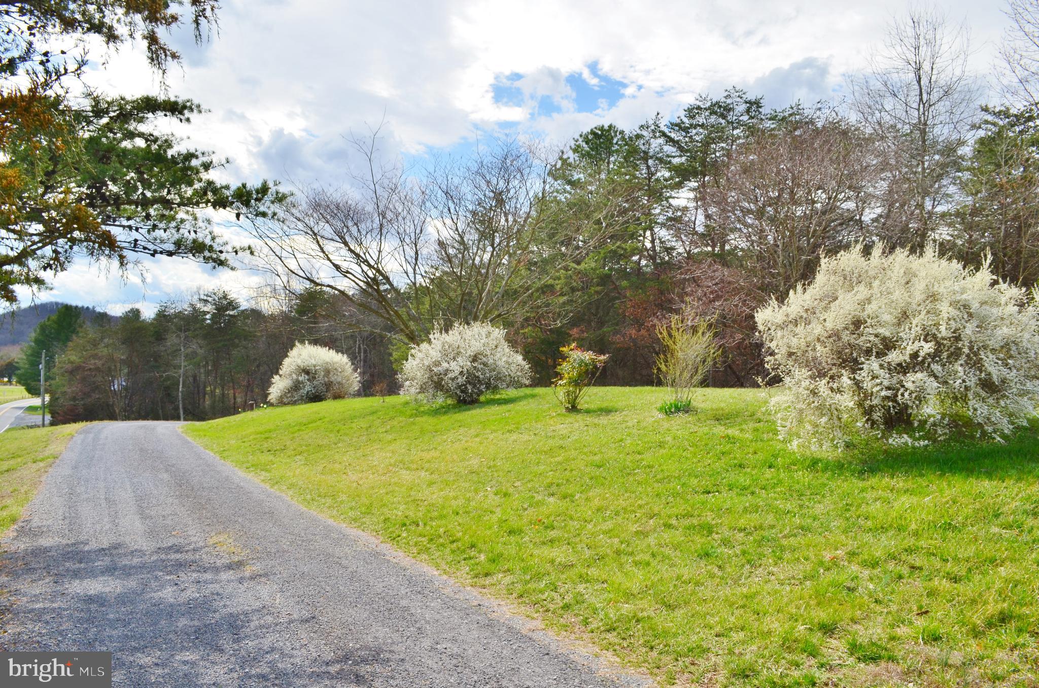 10207 Senedo Road Mount Jackson, VA 22842 - Photo 3 of 47