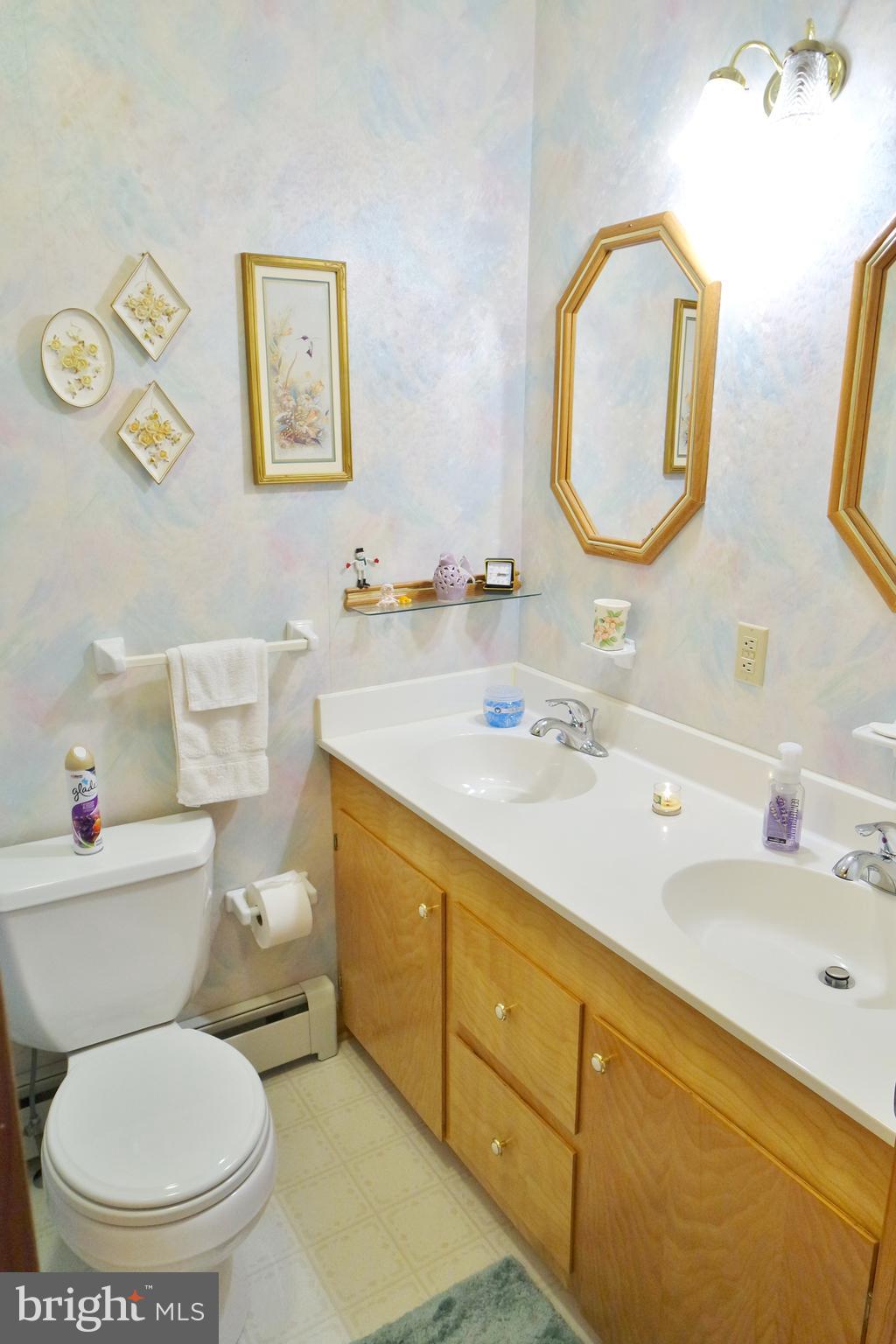 10207 Senedo Road Mount Jackson, VA 22842 - Photo 31 of 47