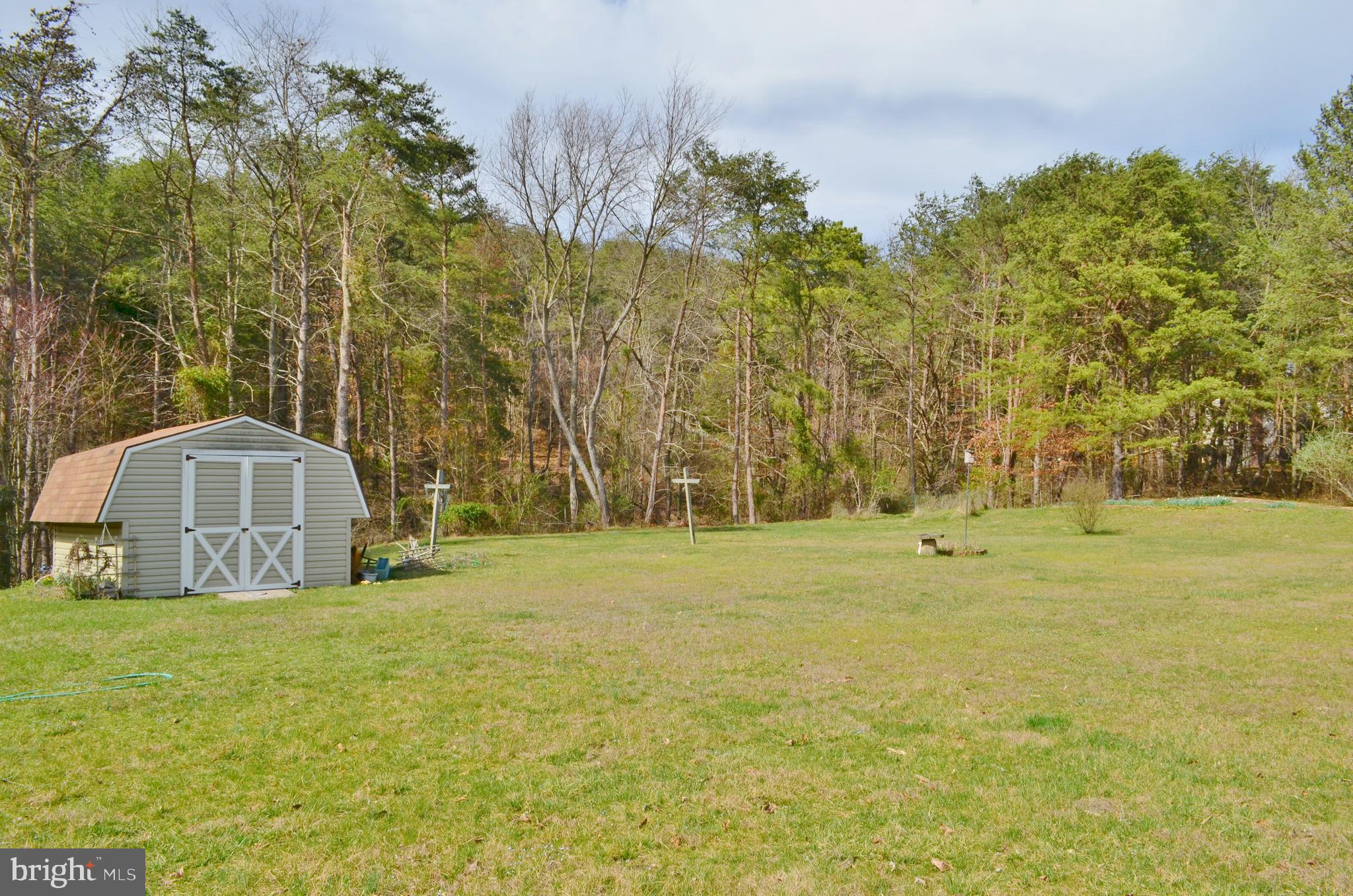 10207 Senedo Road Mount Jackson, VA 22842 - Photo 4 of 47