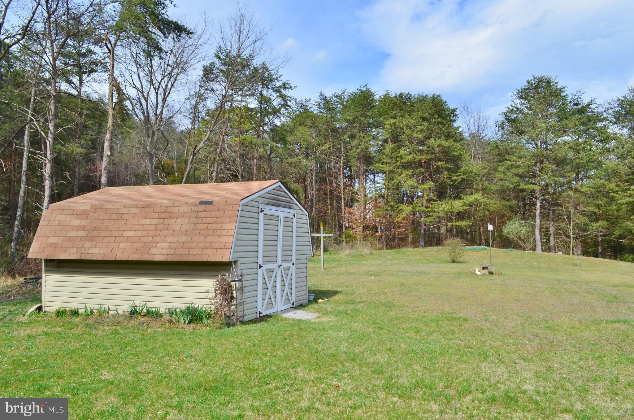 10207 Senedo Road Mount Jackson, VA 22842 - Photo 41 of 47