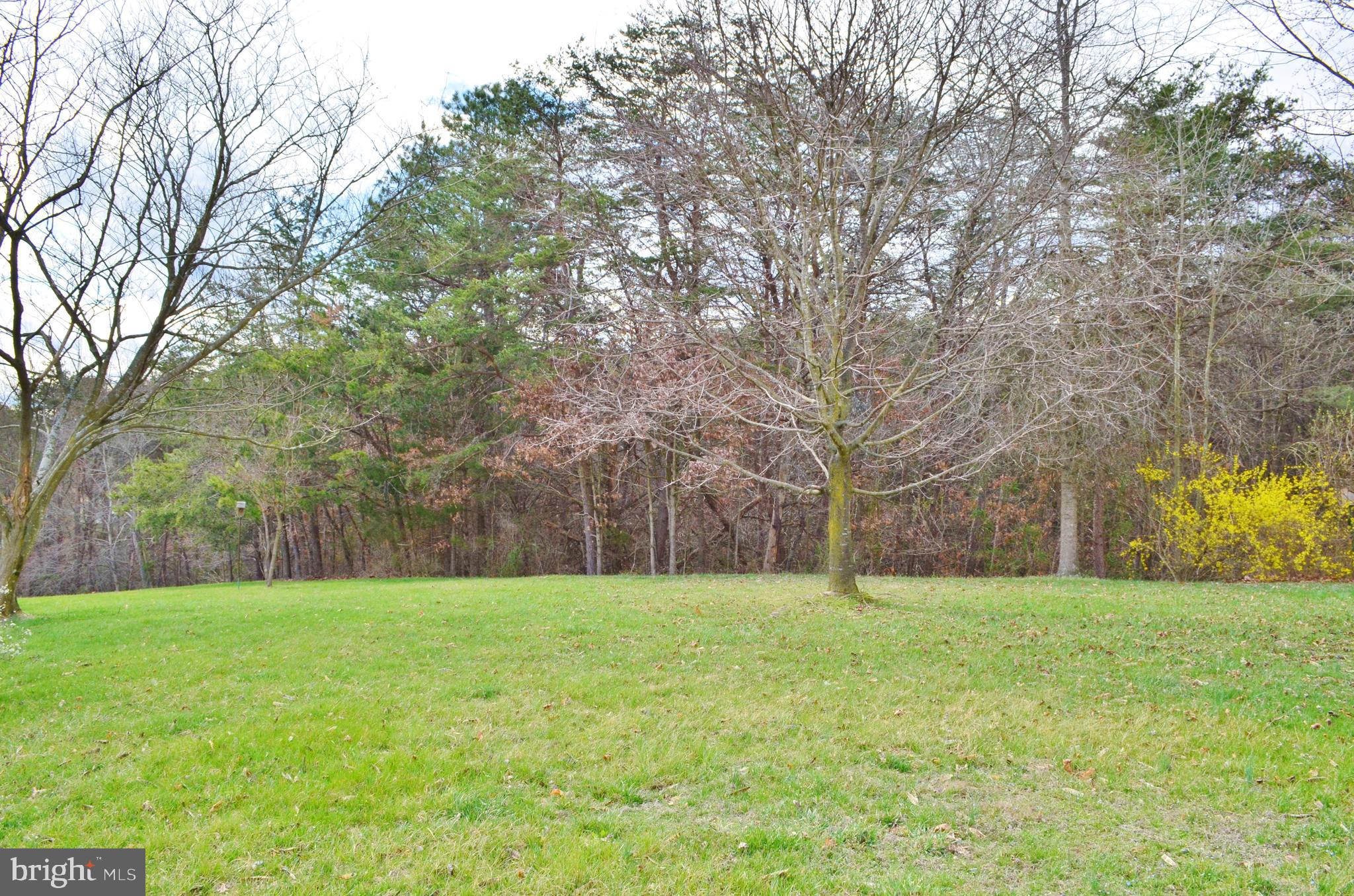 10207 Senedo Road Mount Jackson, VA 22842 - Photo 42 of 47