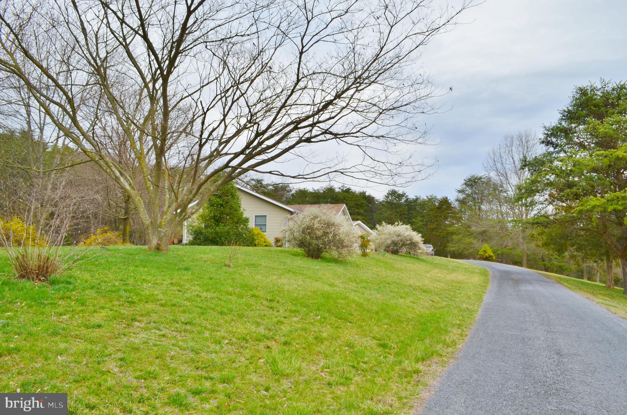 10207 Senedo Road Mount Jackson, VA 22842 - Photo 43 of 47