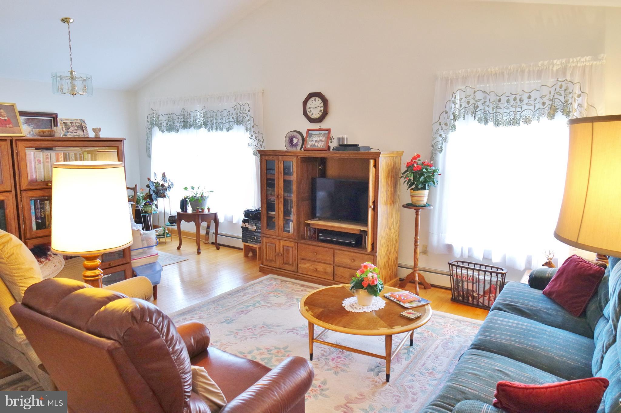 10207 Senedo Road Mount Jackson, VA 22842 - Photo 9 of 47
