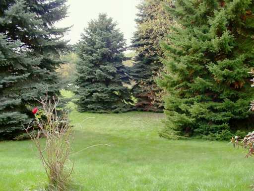 111 Pear Orchard Road Coraopolis, PA 15108 - Photo 6 of 8