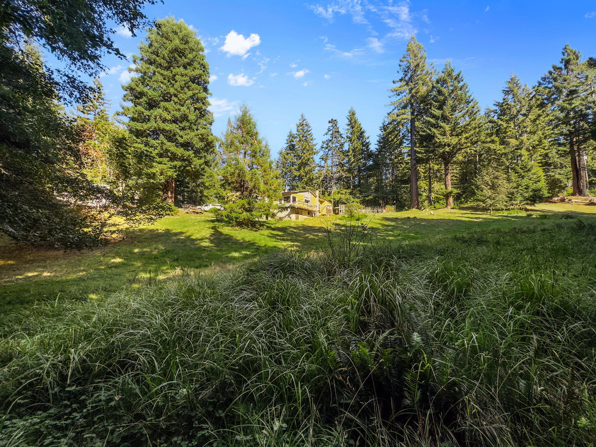 7097 Fickle Hill Road Arcata, CA 95521 - Photo 30 of 43