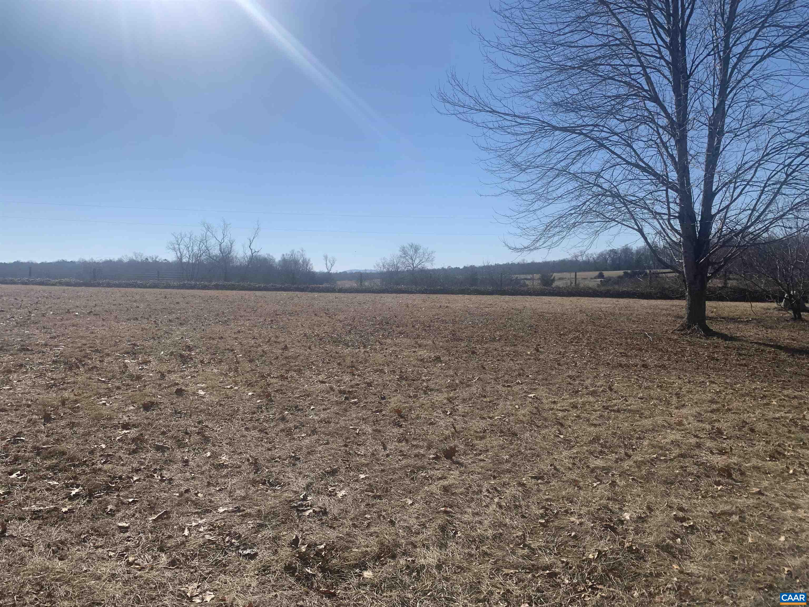 5211 Fredericksburg Road Ruckersville, VA 22968 - Photo 29 of 33 a view of wooden floor and trees in the yard