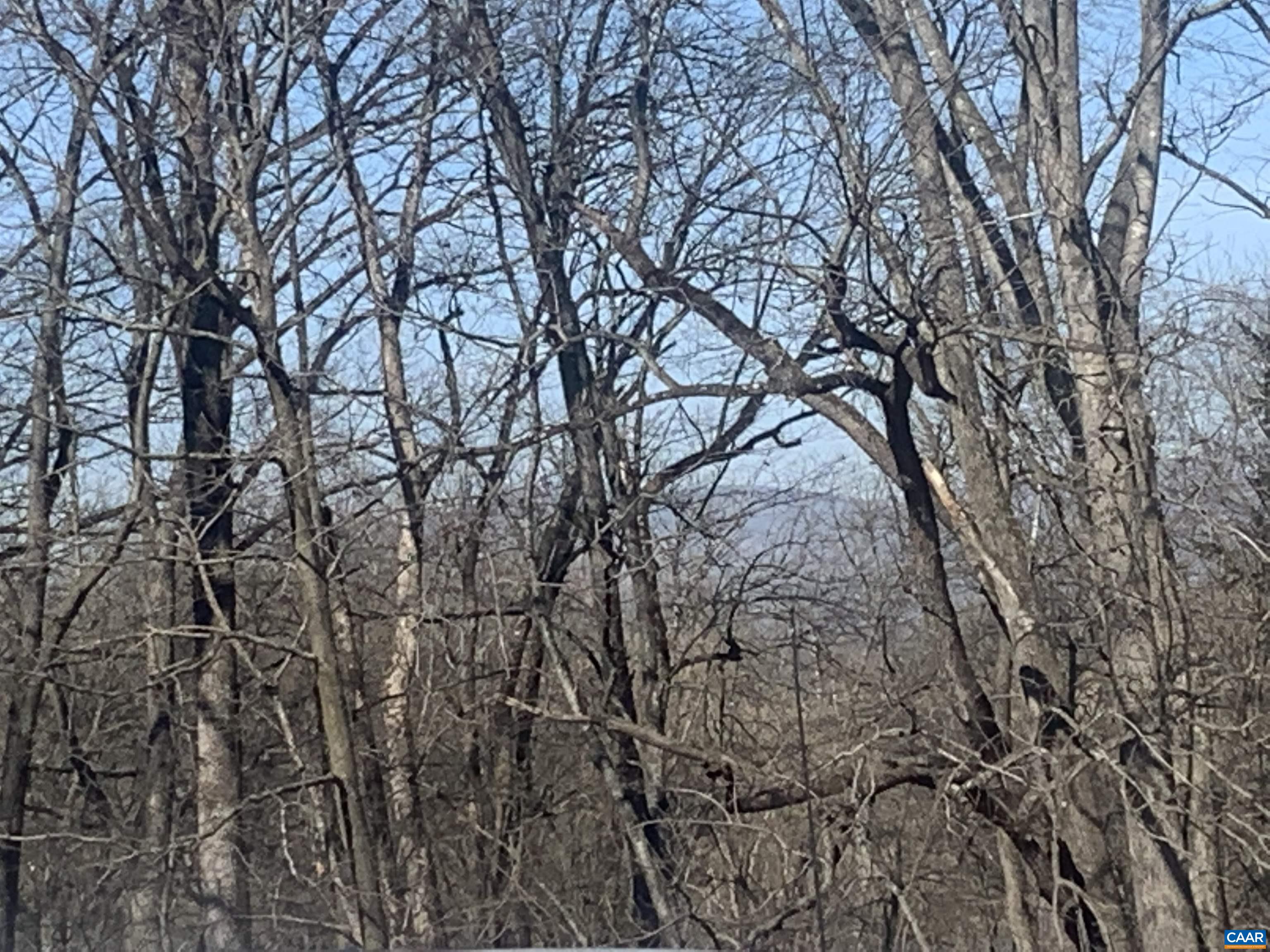 5211 Fredericksburg Road Ruckersville, VA 22968 - Photo 31 of 33 a yard with lots of trees