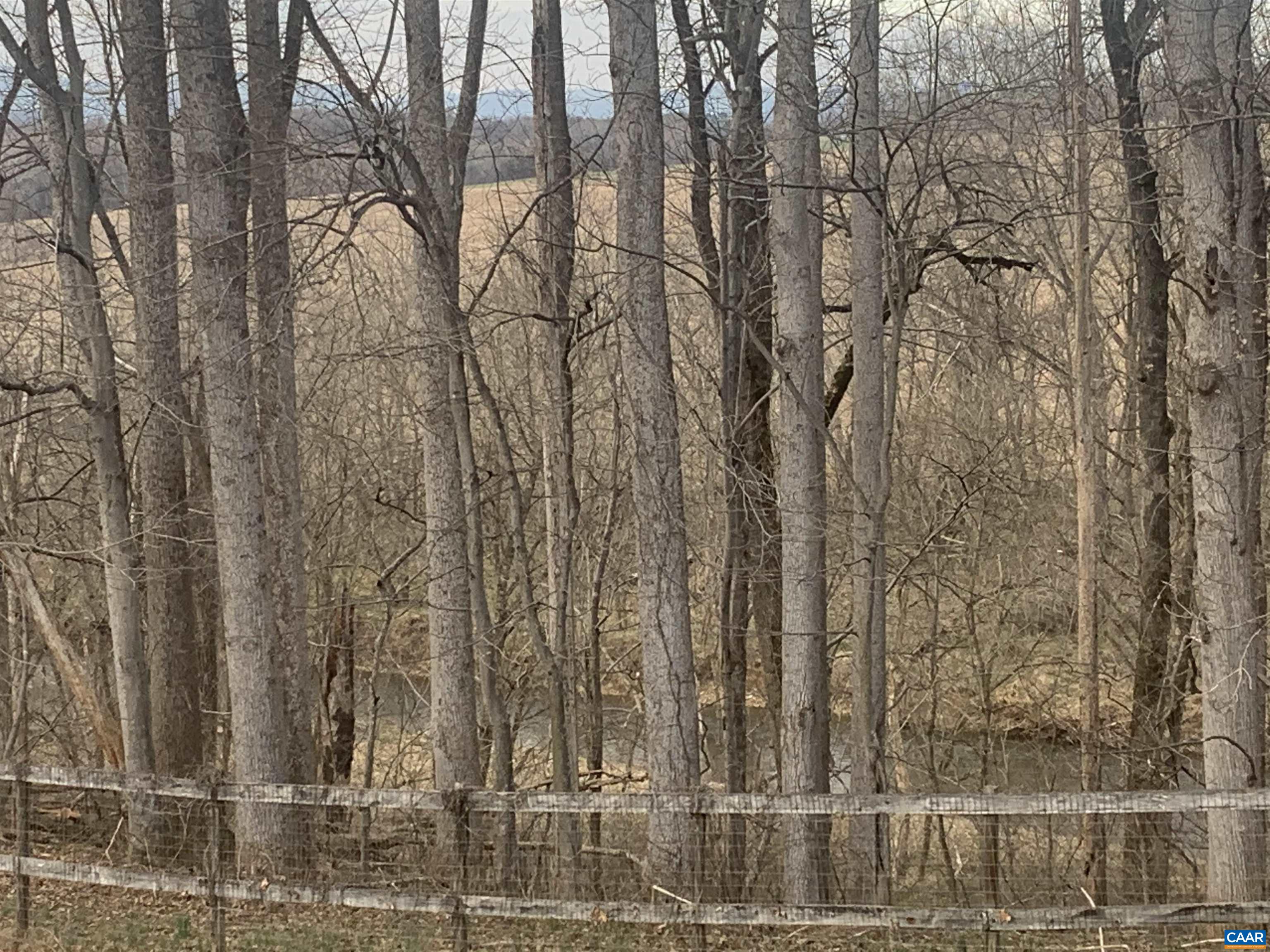 5211 Fredericksburg Road Ruckersville, VA 22968 - Photo 33 of 33 a view of a dry yard