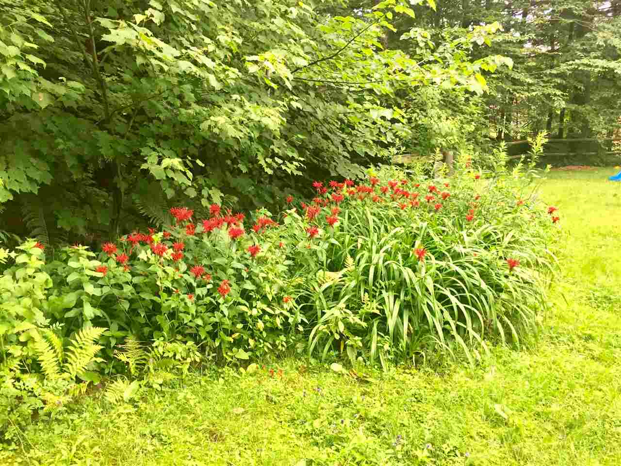 2910 Vermont Rte 108 Cambridge, VT 05464 - Photo 29 of 32 Gallery Image 29