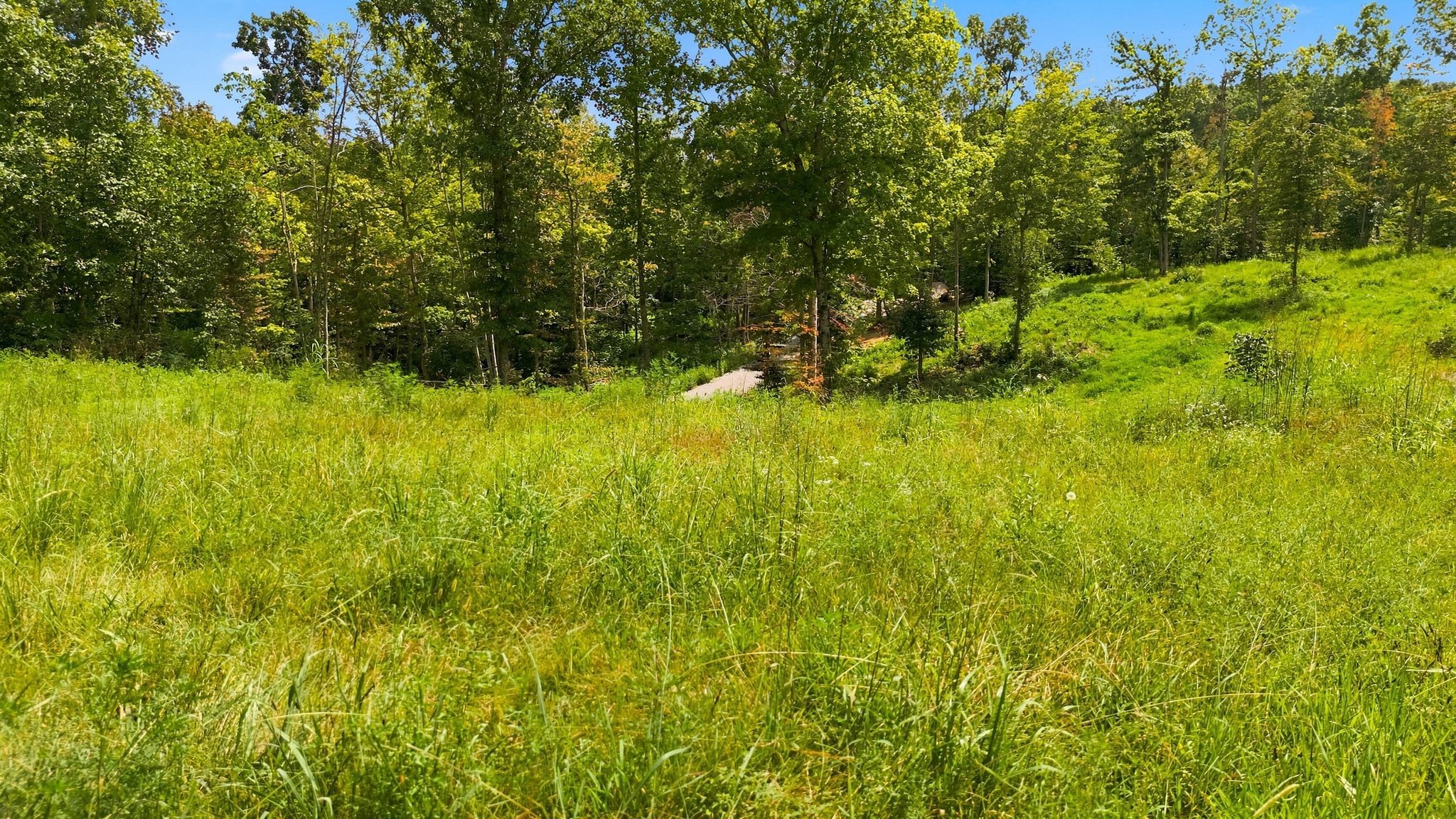1086 Red Oak Road Charlotte, TN 37036 - Photo 7 of 24 Gallery Image 7
