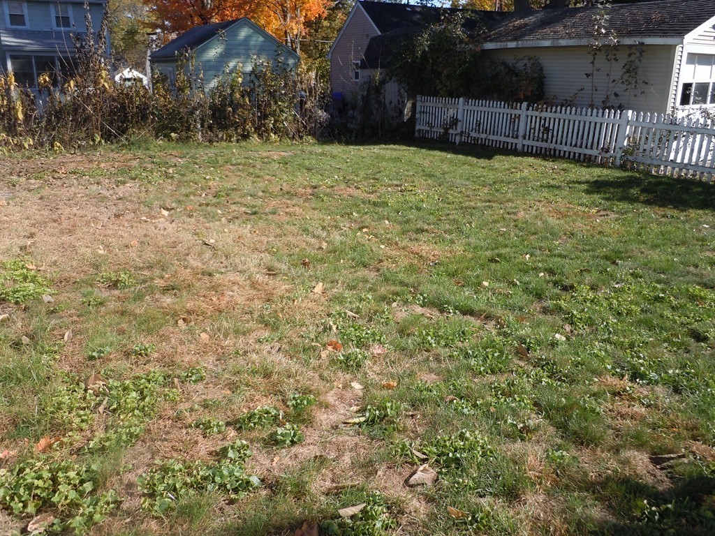57 Grandview Street Springfield, MA 01118 - Photo 15 of 16 a view of a yard with wooden fence