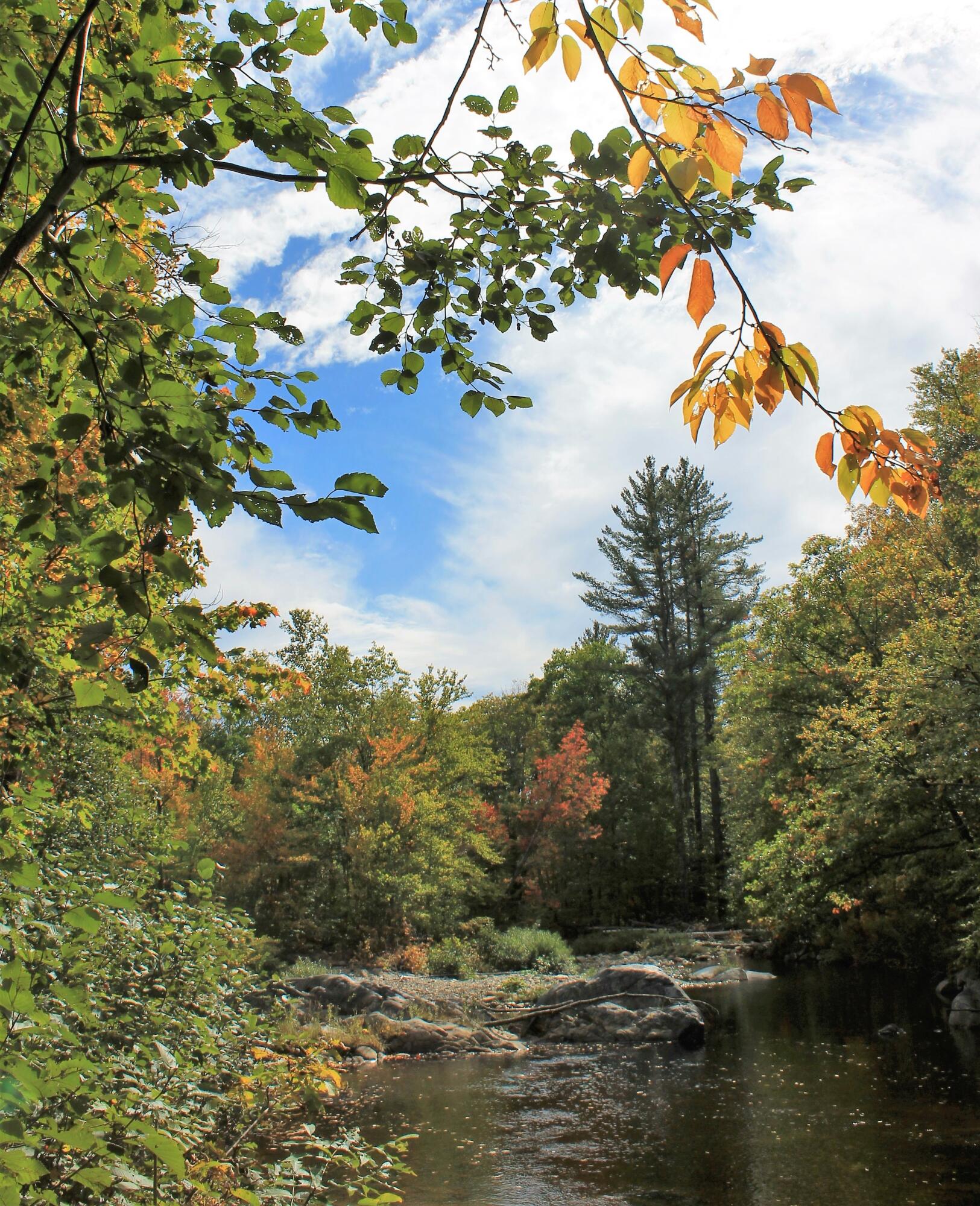 Lot 4 Moosely Ridge Road Phillips, ME 04966 - Photo 16 of 18 River