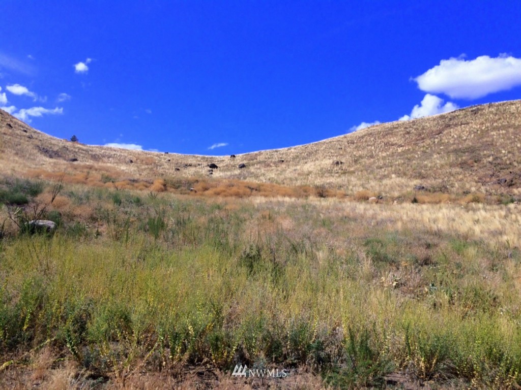 45 Lot 45 Methow River Ranch Road Pateros, WA 98846 - Photo 3 of 7