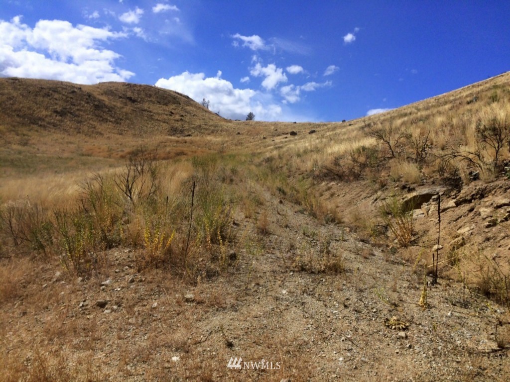 45 Lot 45 Methow River Ranch Road Pateros, WA 98846 - Photo 4 of 7