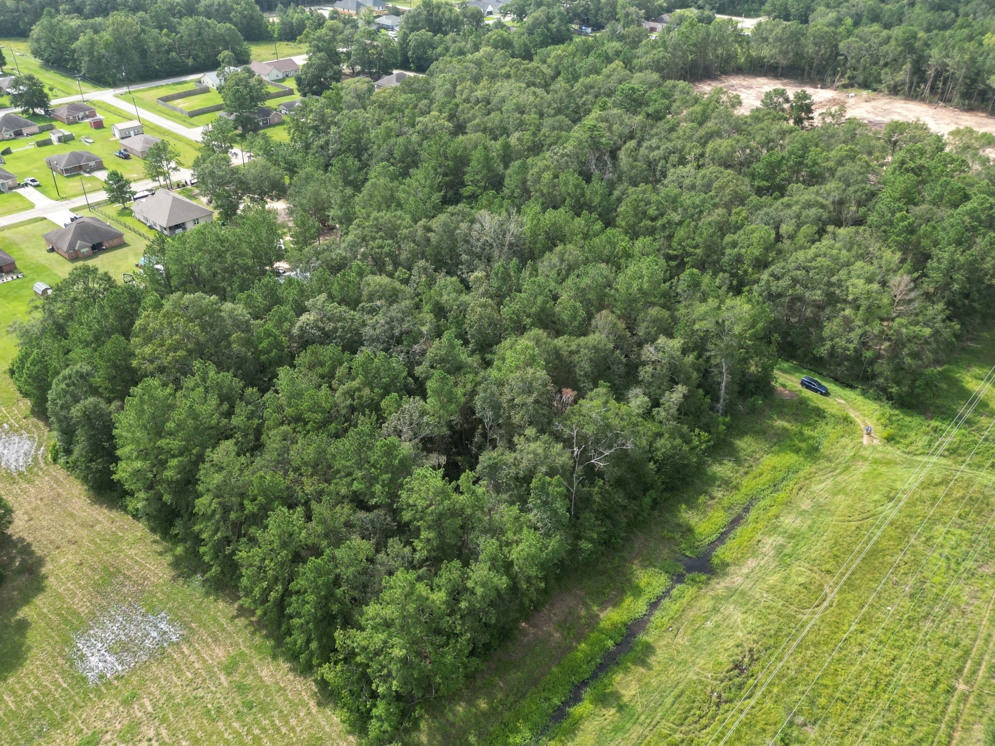 0 Culberson Street Cleveland, TX 77327 - Photo 6 of 6 a view of a lush green forest