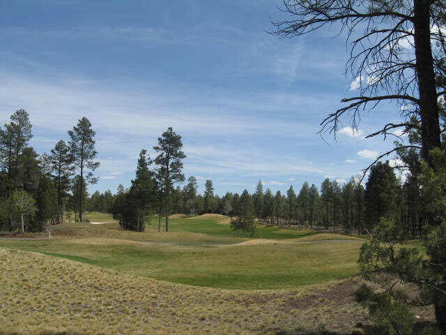 390 South Falling Leaf Road, Unit 390 Show Low, AZ 85901 - Photo 1 of 4 Primary Photo