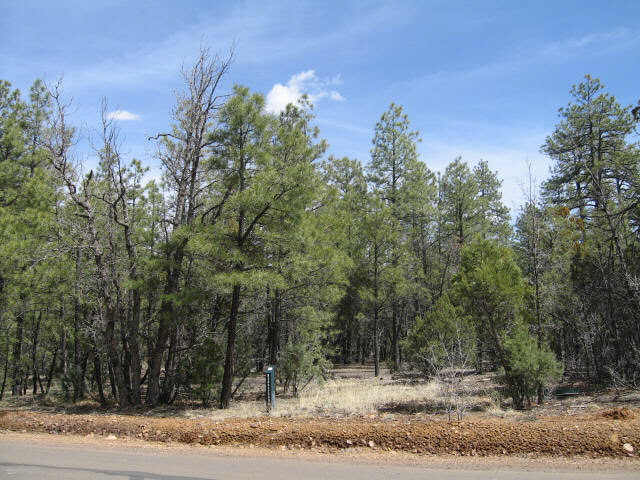 390 South Falling Leaf Road, Unit 390 Show Low, AZ 85901 - Photo 2 of 4 Additional Photo
