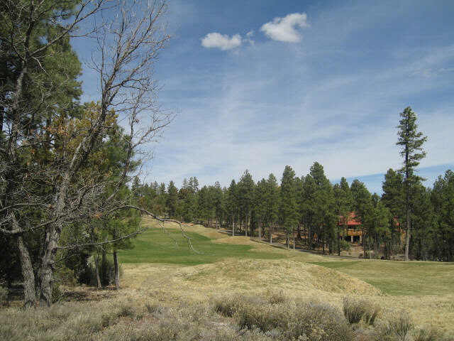 390 South Falling Leaf Road, Unit 390 Show Low, AZ 85901 - Photo 4 of 4 Additional Photo