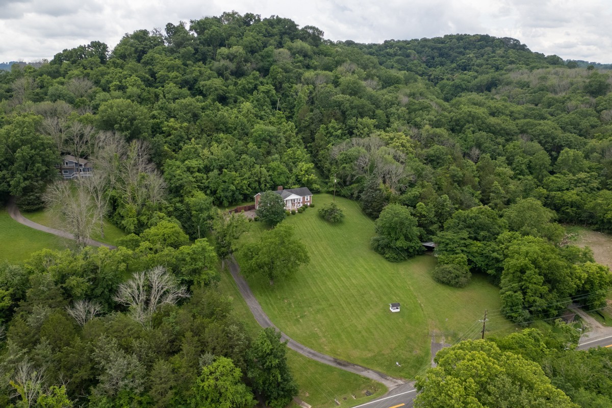 6908 River Rd Pike Nashville, TN 37209 - Photo 6 of 47 a view of a lush green forest
