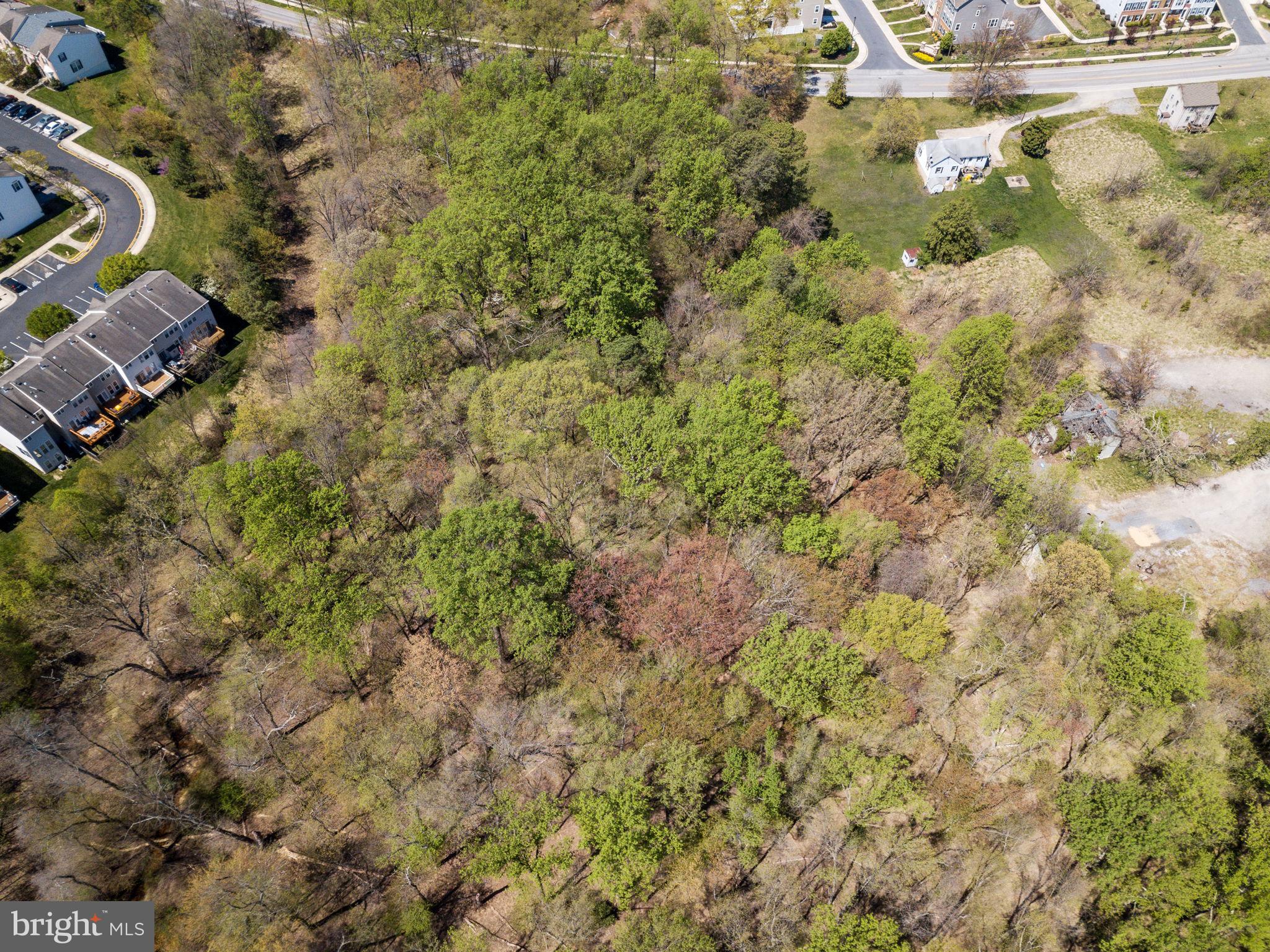 265 Wright Road Hanover, MD 21076 - Photo 4 of 9 a view of a yard