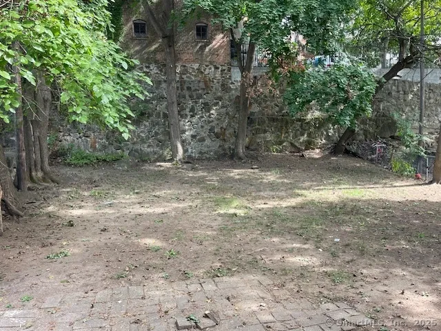 a view of a yard with a tree