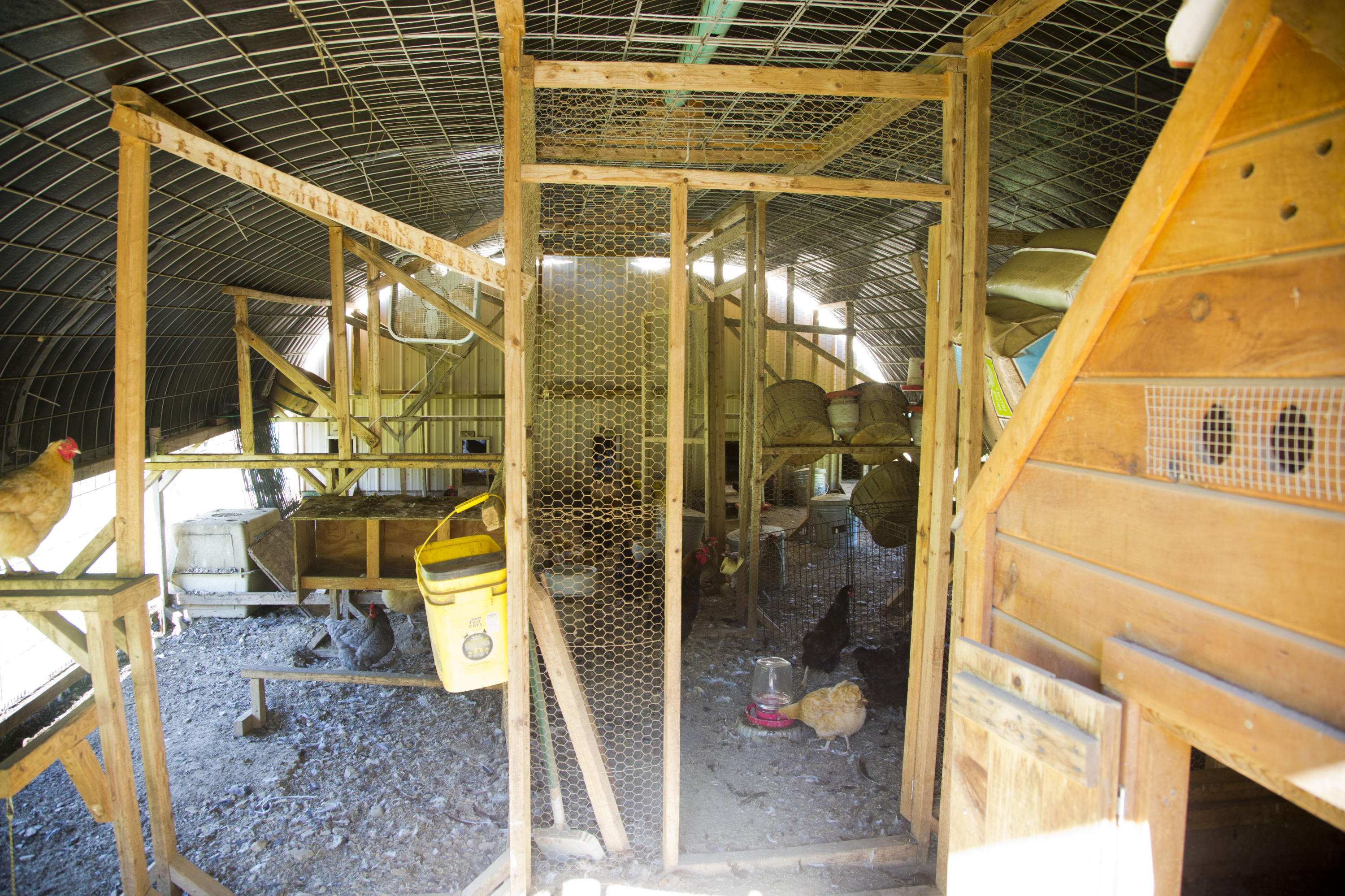 180 Village Road Stetson, ME 04488 - Photo 66 of 72 Coop