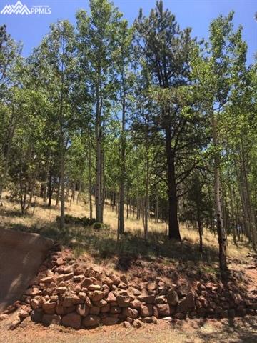 260 Beaver Pond Road Divide, CO 80814 - Photo 4 of 13 Gallery Image 4