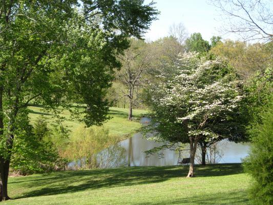 6386 Morton Road Greenbrier, TN 37073 - Photo 2 of 15 a view of a yard