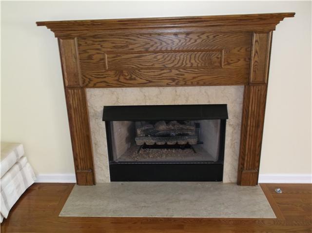 6386 Morton Road Greenbrier, TN 37073 - Photo 7 of 15 a view of fireplace