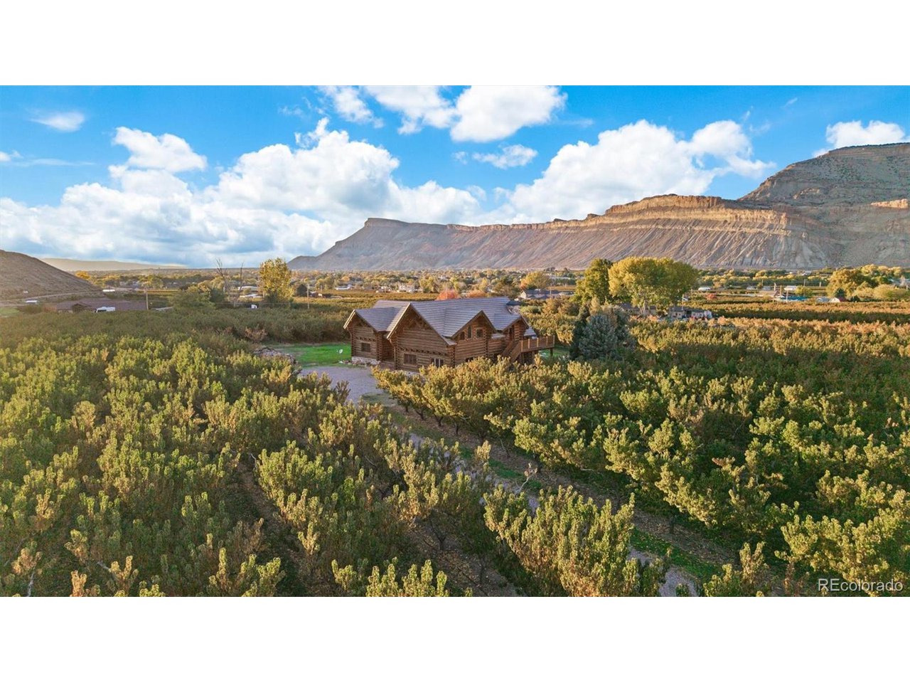 3875 F F 3/4 Road Palisade, CO 81526 - Photo 12 of 45 a view of a city