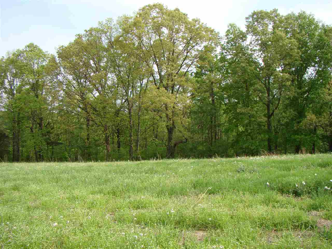 0 Lonnie Holt Road Milan, TN 38355 - Photo 1 of 1 Photo 1
