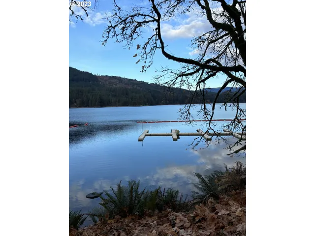 $79,500 | 24706 Northeast Columbia Tie Road, Unit 119, Amboy, WA 98601