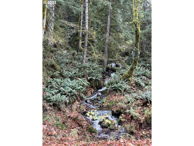 $79,500 | 24706 Northeast Columbia Tie Road, Unit 119, Amboy, WA 98601