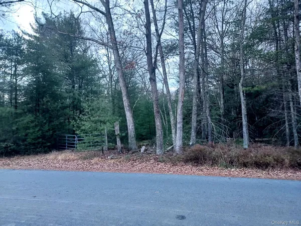 $429,000 | White, Lumberland, NY 12770