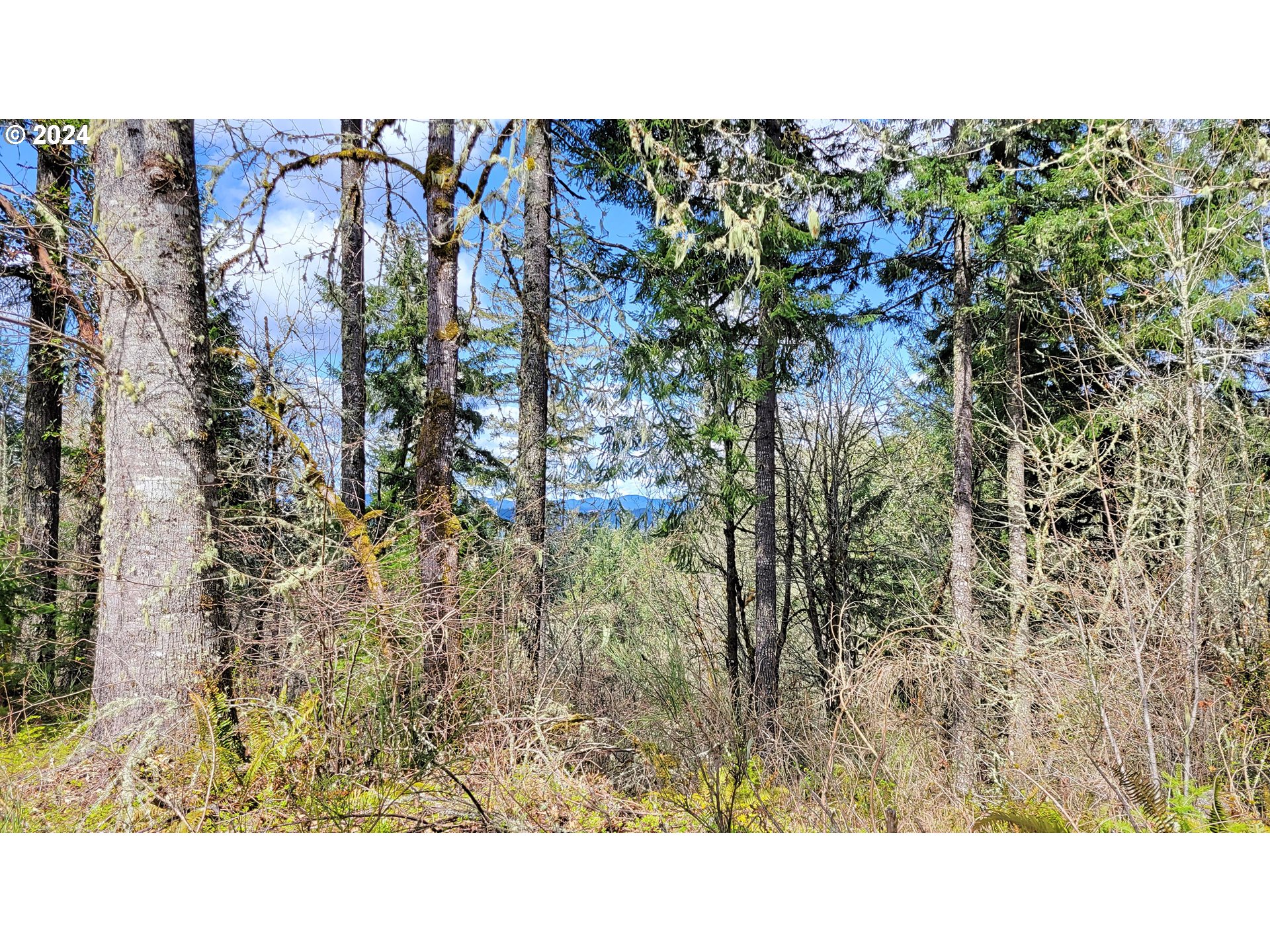 Bolton Hill Road, Unit S Veneta, OR 97487 - Photo 3 of 9