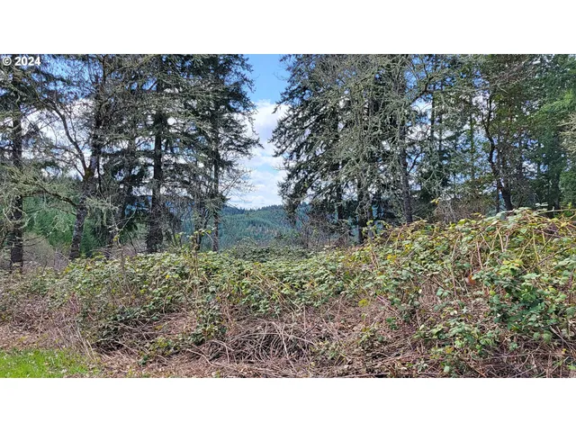 $1,195,000 | Bolton Hill Road, Unit S, Veneta, OR 97487