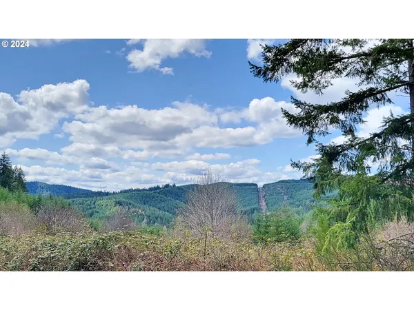 $1,195,000 | Bolton Hill Road, Unit S, Veneta, OR 97487
