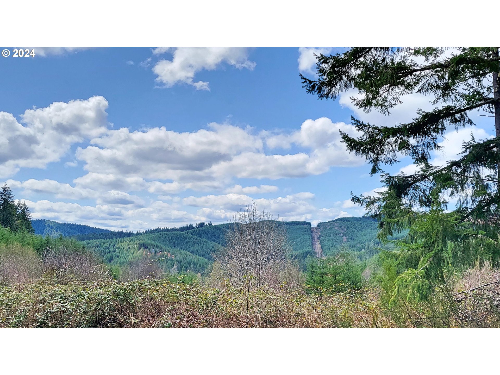 Bolton Hill Road, Unit S Veneta, OR 97487 - Photo 7 of 9