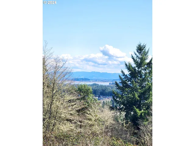 $1,195,000 | Bolton Hill Road, Unit S, Veneta, OR 97487