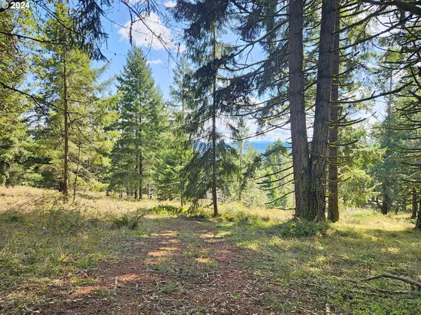 $1,195,000 | Bolton Hill Road, Unit S, Veneta, OR 97487