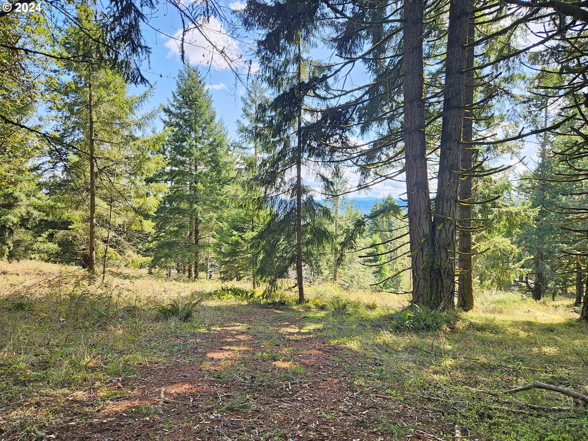 Bolton Hill Road, Unit S Veneta, OR 97487 - Photo 9 of 9