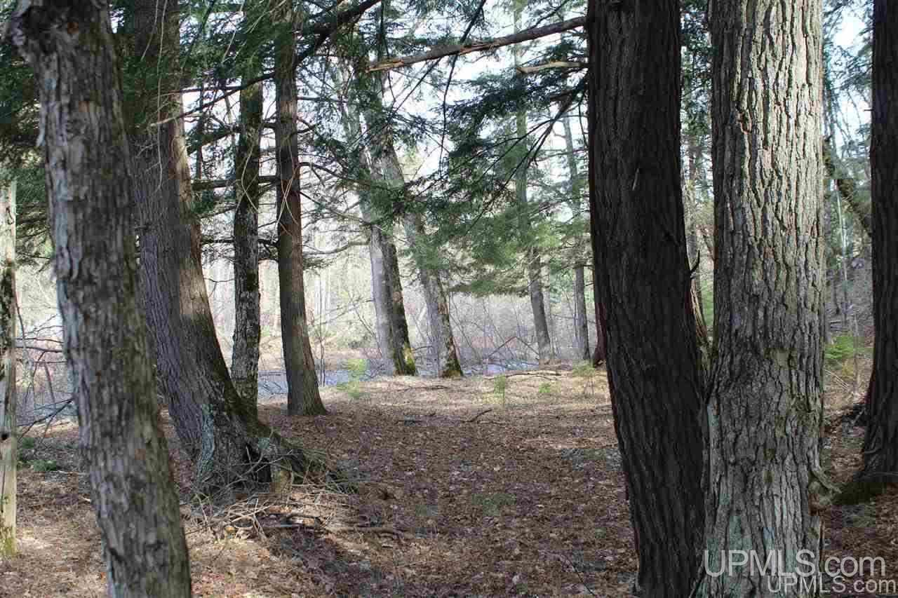 Tbd Ward Road Skanee, MI 49962 - Photo 25 of 32 Gallery Image 25
