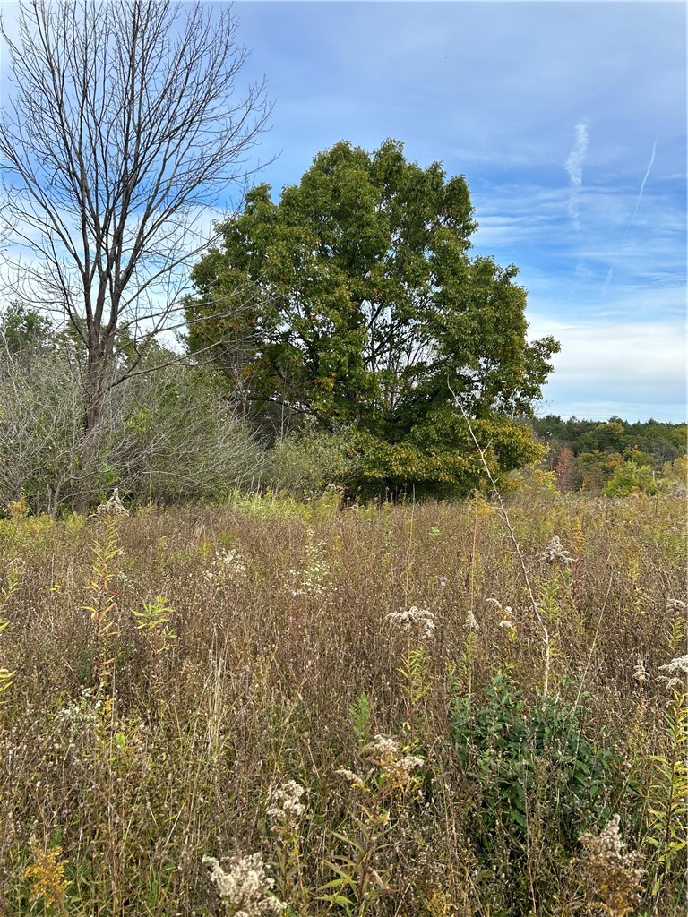 Lot 2 view toward road