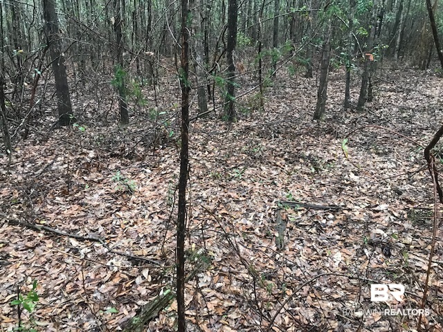 23588 Old Weekley Road Bay Minette, AL 36507 - Photo 15 of 30