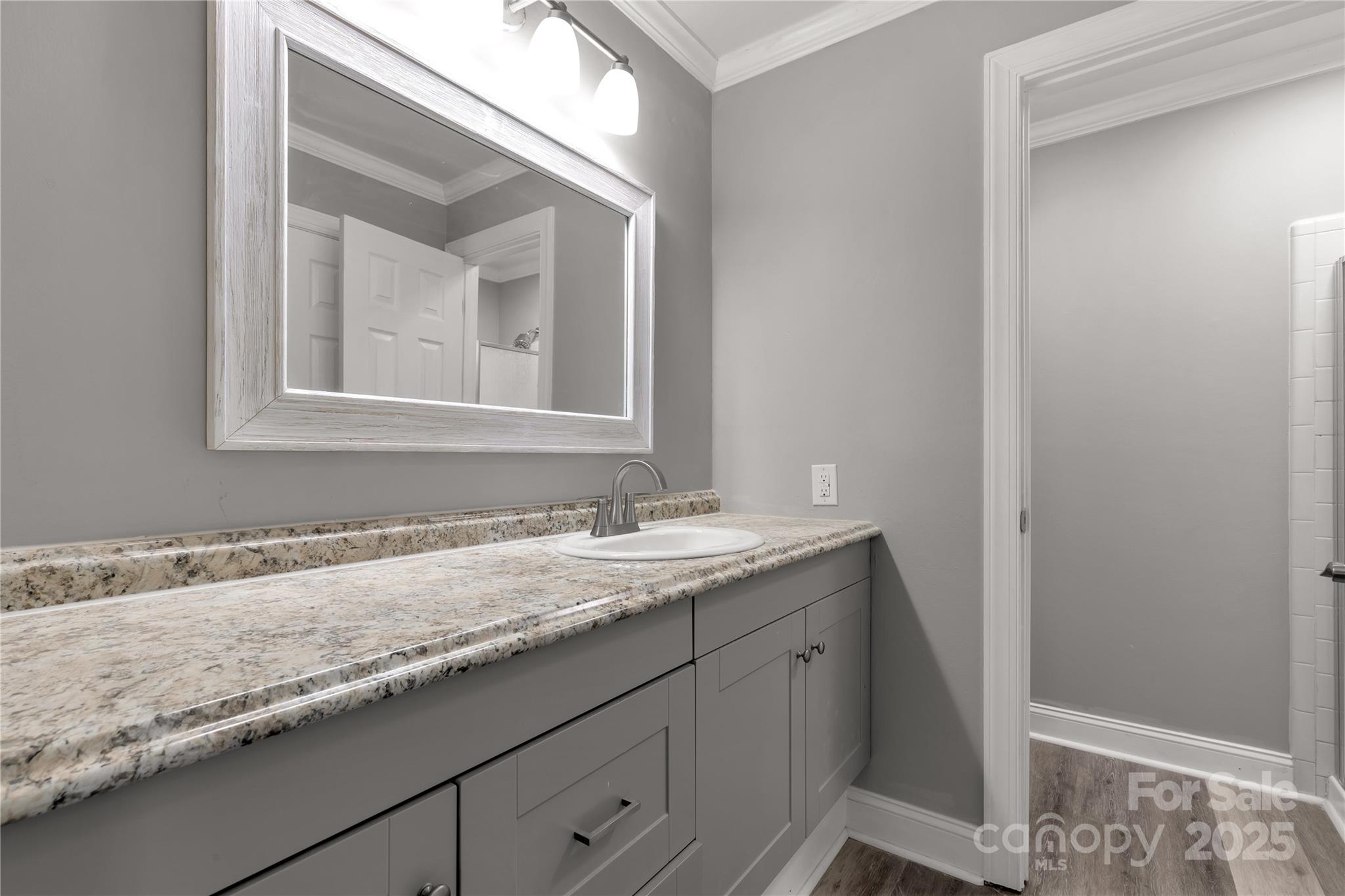 1830 Ebenezer Road Rock Hill, SC 29732 - Photo 23 of 23 a bathroom with a granite countertop sink and a mirror