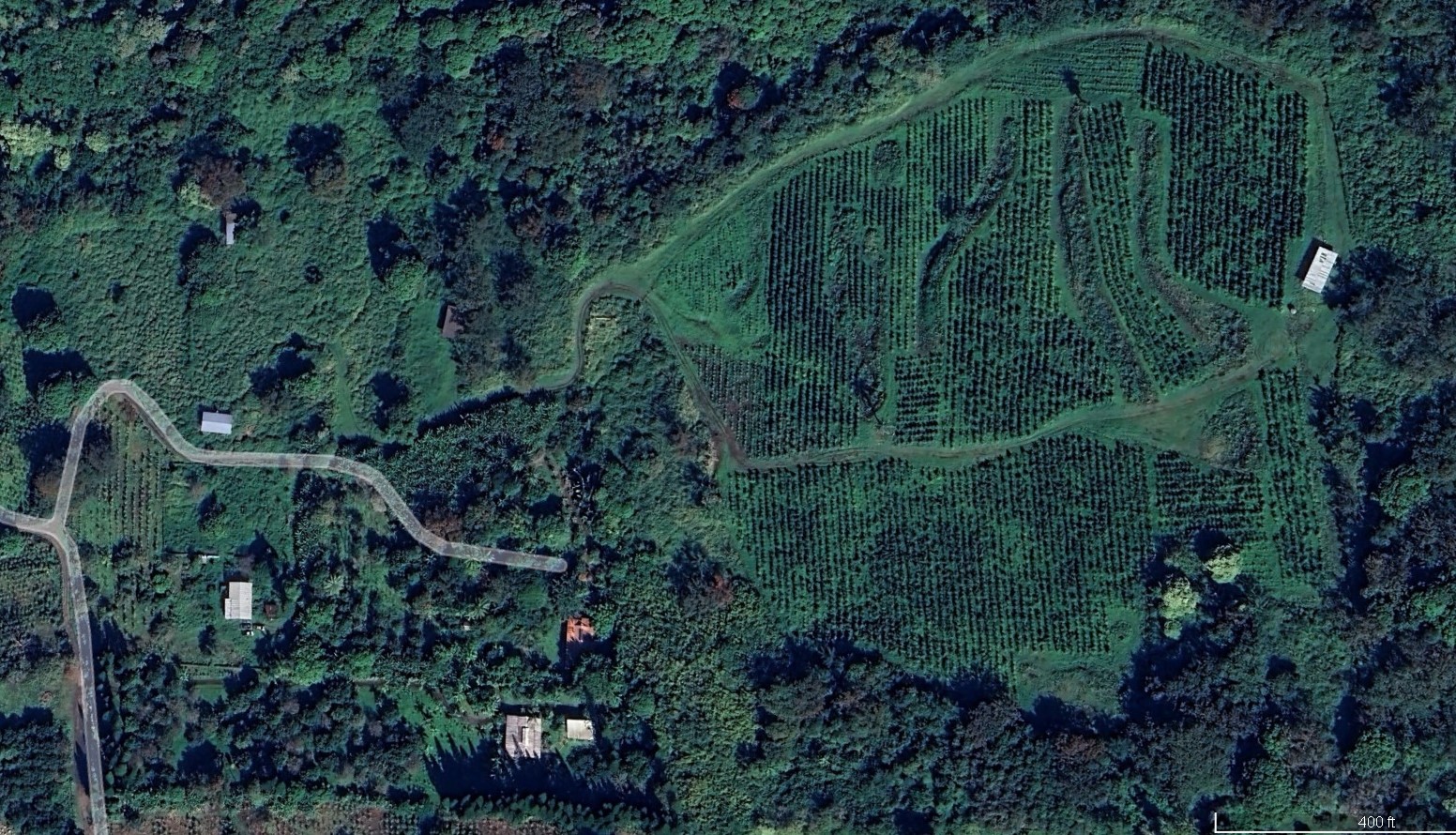 an aerial view of a house