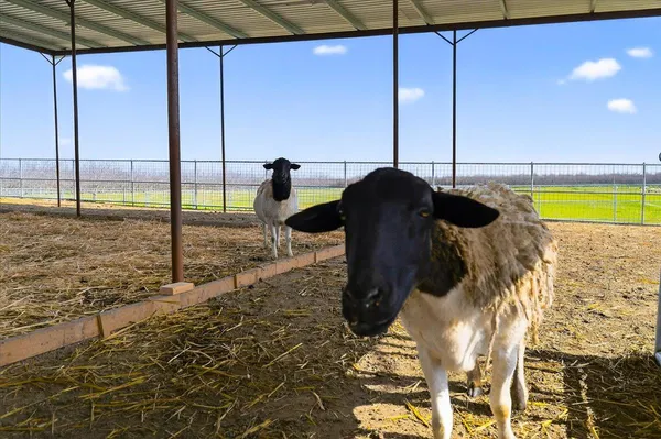 $3,500,000 | 6873 20th Avenue, Lemoore, CA 93245