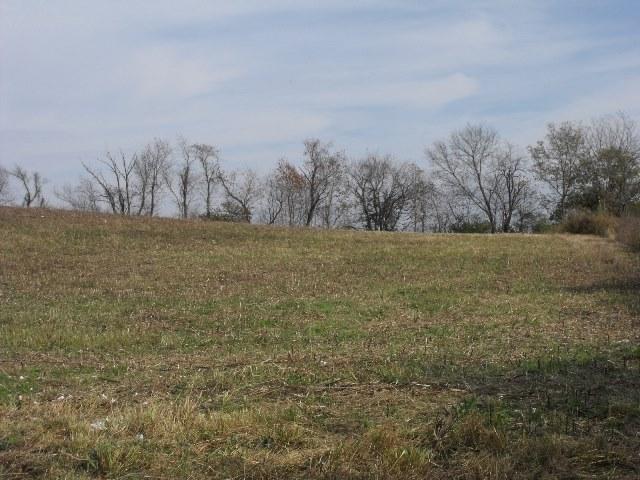 10194 Dozer Road Southwest Stoutsville, OH 43154 - Photo 5 of 5