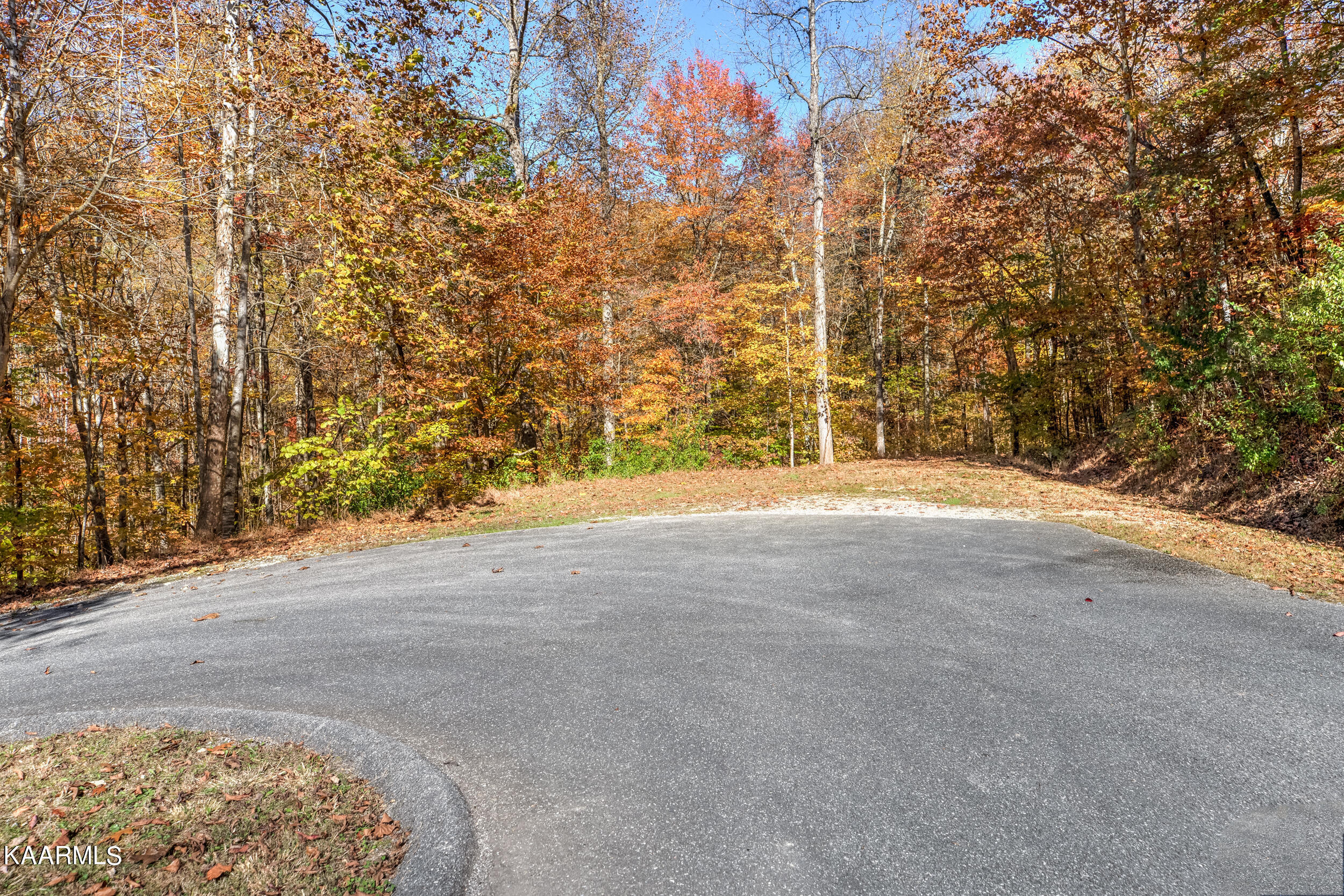 1514 Cove Pointe Road La Follette, TN 37766 - Photo 37 of 38 1514 Cove Pointe Rd-45