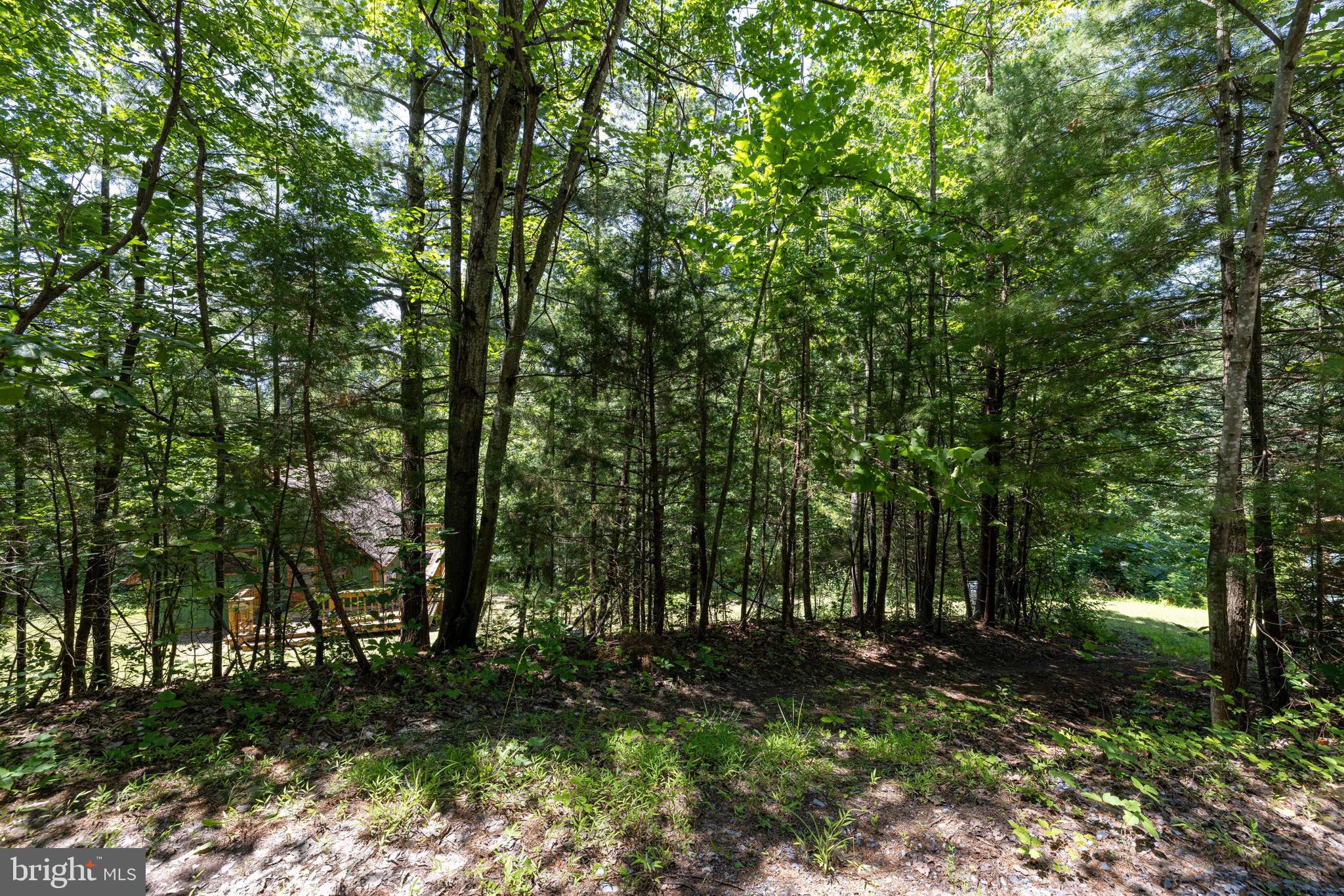 1247 Somers Road Luray, VA 22835 - Photo 49 of 67 a backyard of a house with lots of green space
